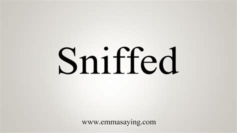 sniffidz|Sniffed Definition & Meaning